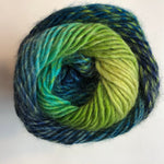 Classic Shades by Universal Yarn